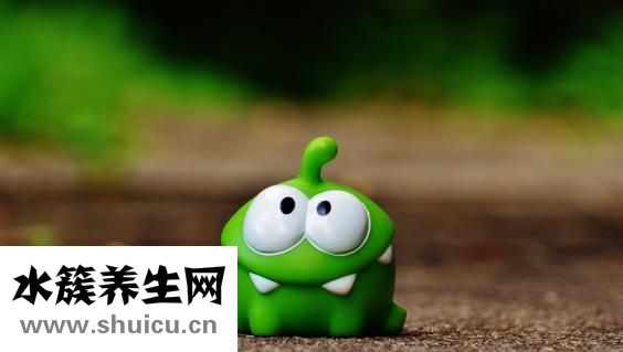 怎么用蒲公英治疗手术和扁桃体炎？