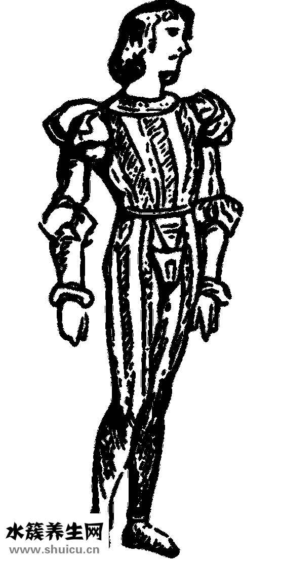 衣服怎么会生虫