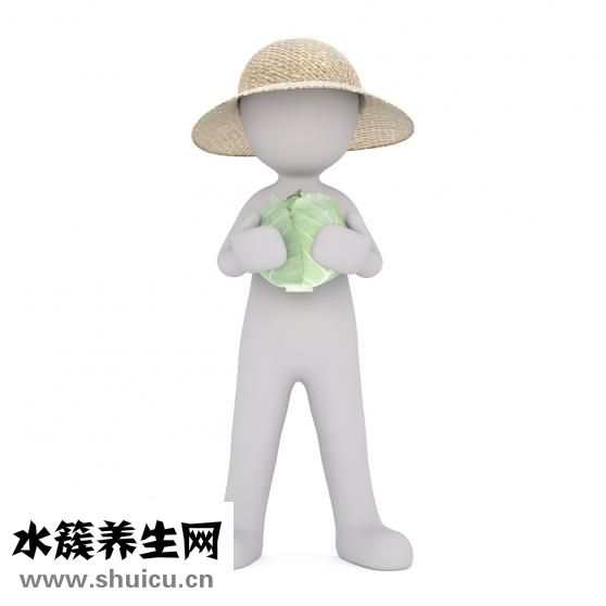 一胎证怎么办理