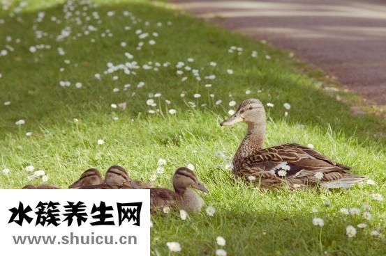 歼怎么组词