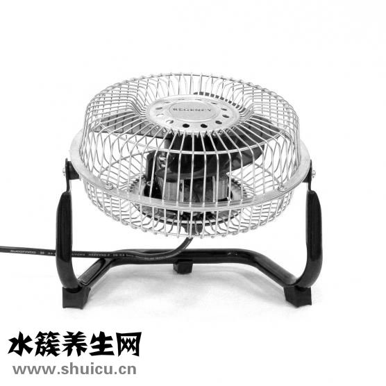 刘岩瘫痪怎么生活