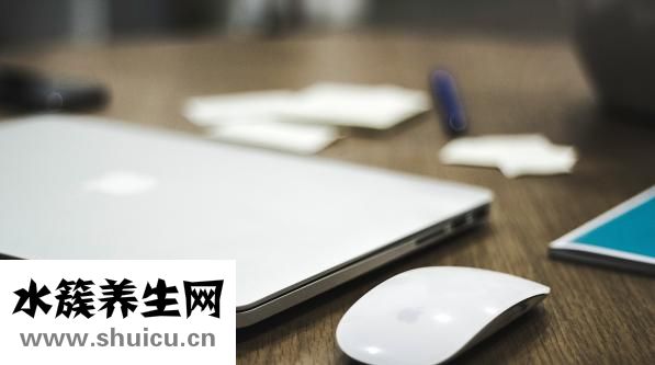 活鲍鱼怎么储存