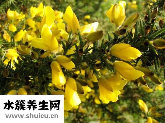 衣服怎么会生虫