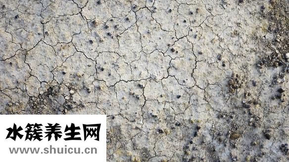 肺部裂纹是怎么回事