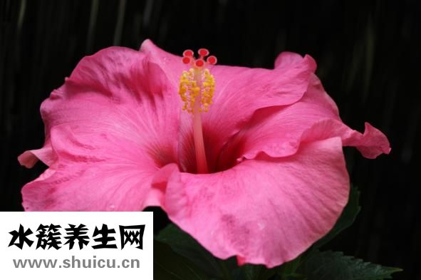 海澄怎么念