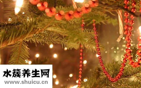季节性丘疹怎么办