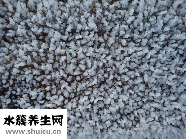 怎么知道角质层厚