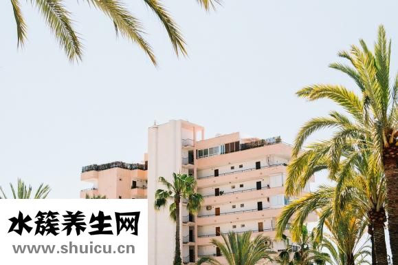 小猪怎么叫