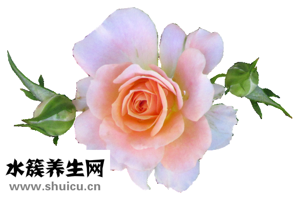 怎么弄出吻痕