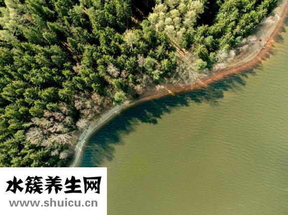浴盐怎么做