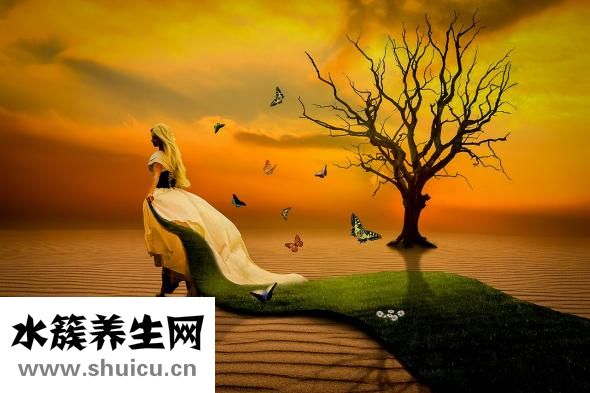 梦见甜瓜是怎么
