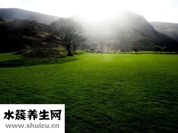 怎么投诉护士