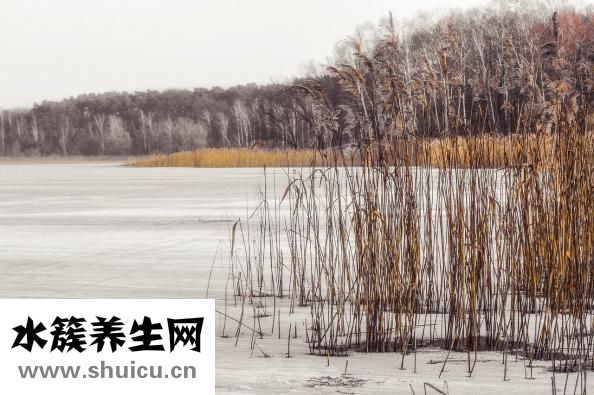 简单小陀螺怎么折