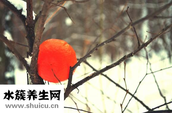 橘子不可以和牛乳一起吃橘子和牛奶同吃不良影响不佳