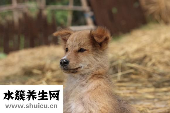 老饿是怎么回事