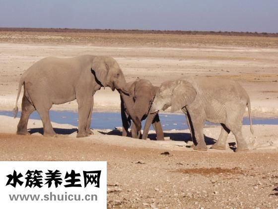 出生时不剃胎毛会对宝宝产生一种机械性伤害
