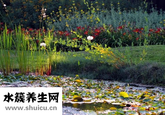 小孩出麻子怎么办