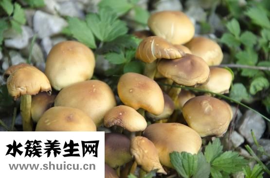 脖子长癣了怎么办