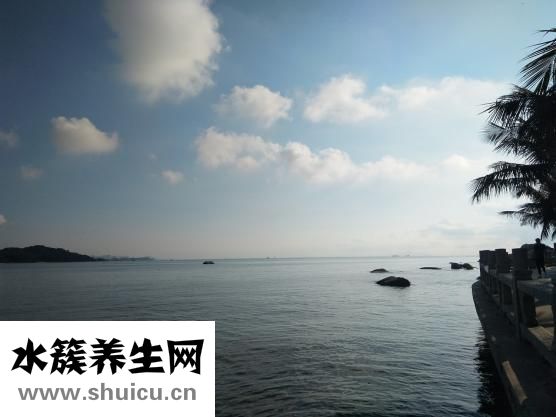 鸭舌怎么烧