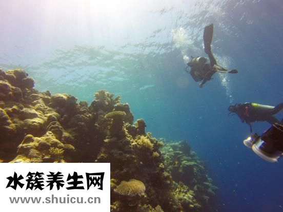 鱼缸起沫沫怎么回事