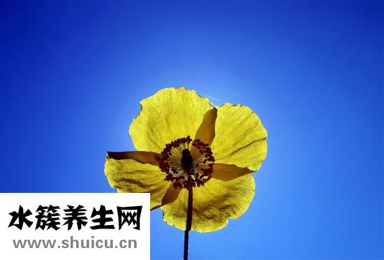 润发膜怎么用