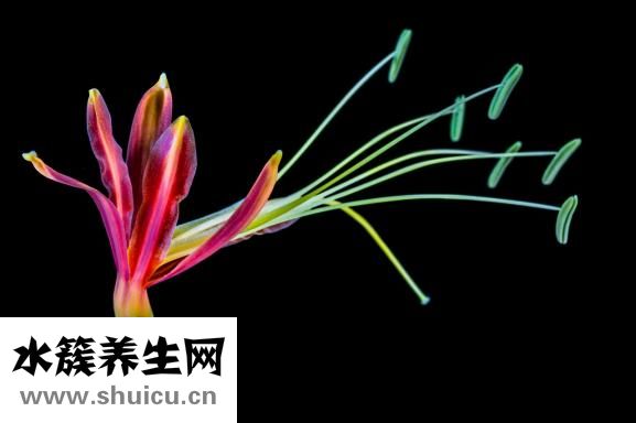 固体胶怎么分开