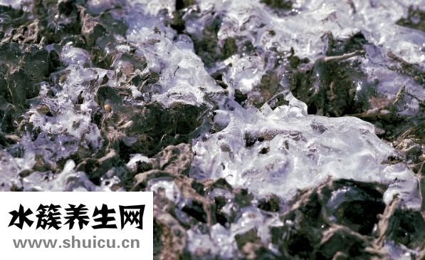 简单小陀螺怎么折