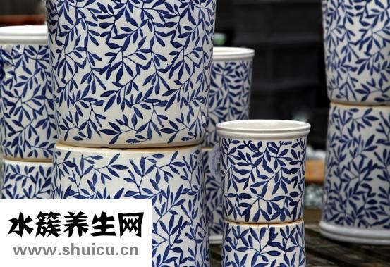 没底柜过滤桶怎么放