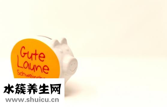 螃蟹怎么储存