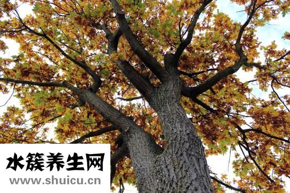 人格地格吉凶怎么看