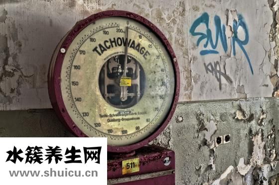 怎么训练老鼠