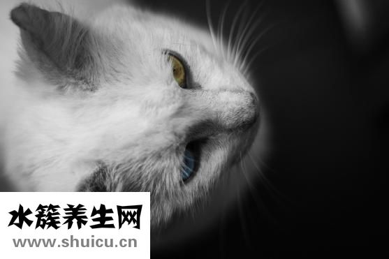 脱毛膏修复液怎么用