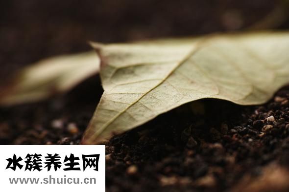 得了心肌梗塞怎么办