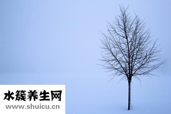 怎么才能不打嗳气