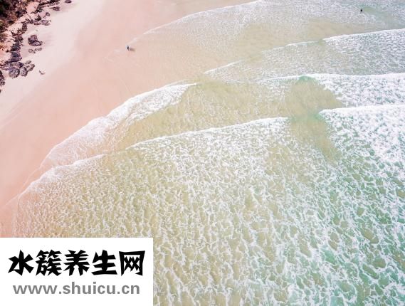 被山蚂蝗咬了怎么办