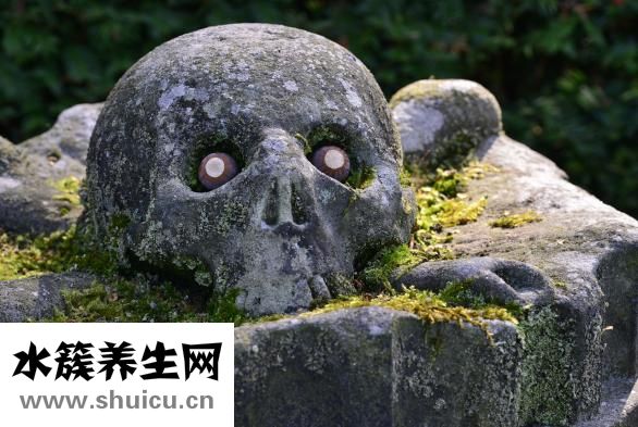 脚骨头断了怎么办