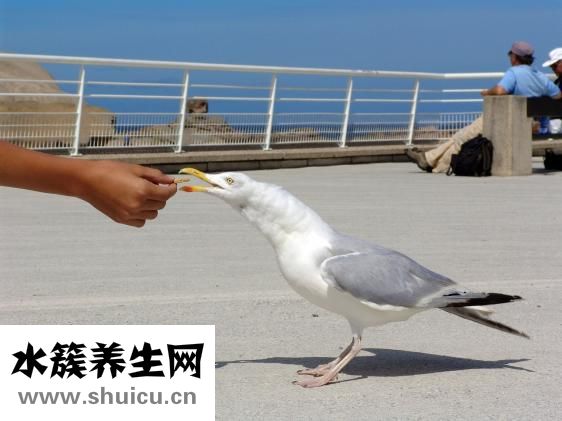 老饿是怎么回事