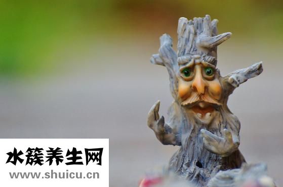 脚骨头断了怎么办