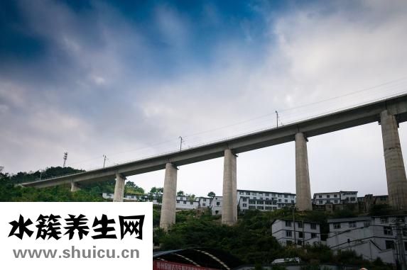 鸭舌怎么烧