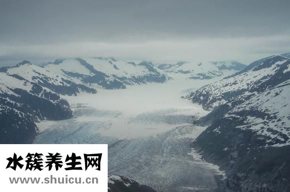 怎么活捉蚊子