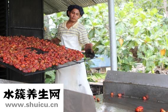 对烟过敏怎么办