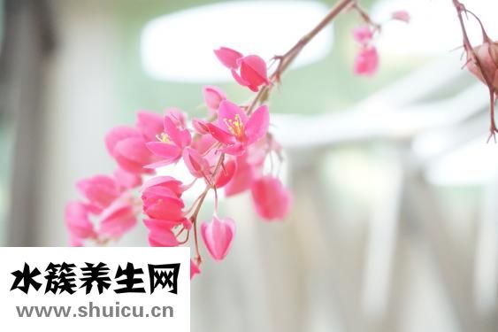油点子怎么洗掉