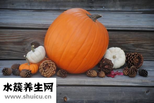 馒头形状怎么捏
