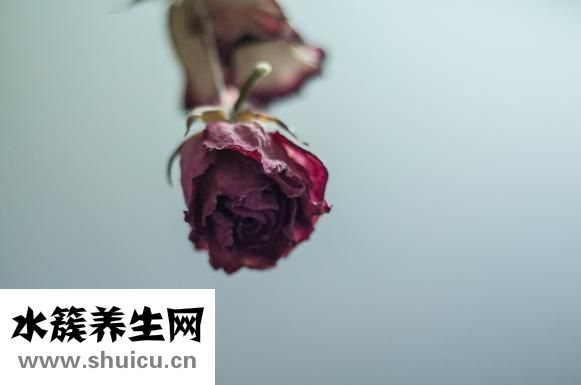 怎么去狐臭味小妙招