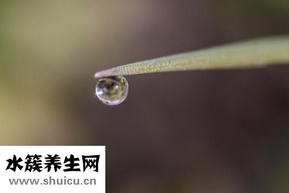 闭合性痘痘怎么治疗