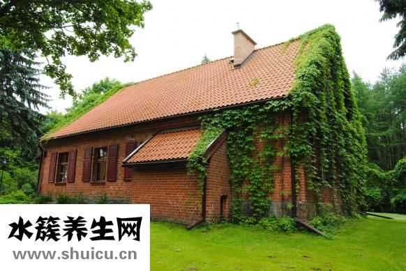 房子有味道怎么办？可以用负离子喷雾和清肺水清洗