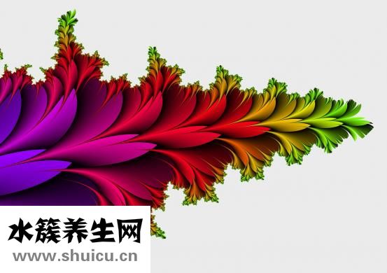 圣通平怎么吃