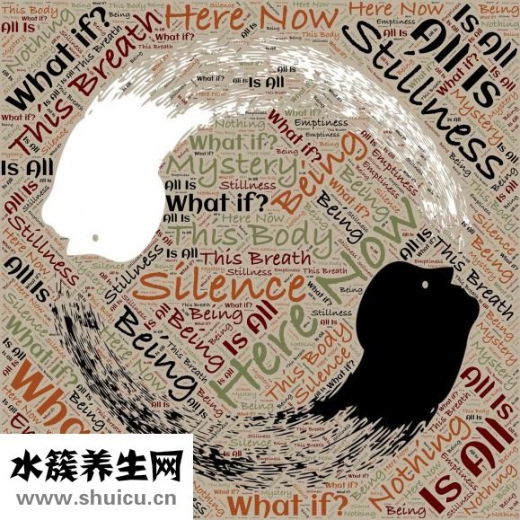 脑震荡呕吐怎么办