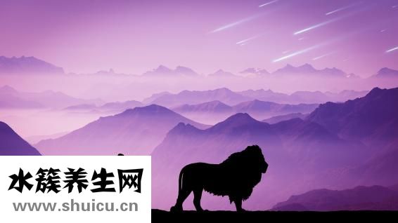怎么表扬小朋友