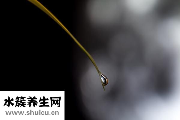 闭合性痘痘怎么治疗